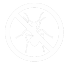 Insectes 
          xylophages
