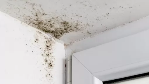 Traces de moisissures dûes à une mauvaise ventilation