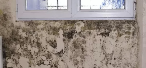 Traitement des moisissures et de l'humidité, nous avons la solution., Cambrai, Home Style Protect